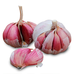 AJOS MORADOS EXTRA 1 KG