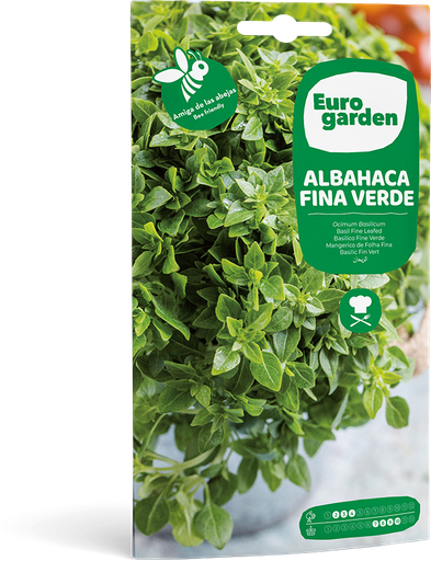 [SOBGAR074] ALBAHACA FINA VERDE