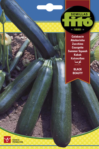 [SOBFIT006] CALABACIN NEGRO BELLEZA