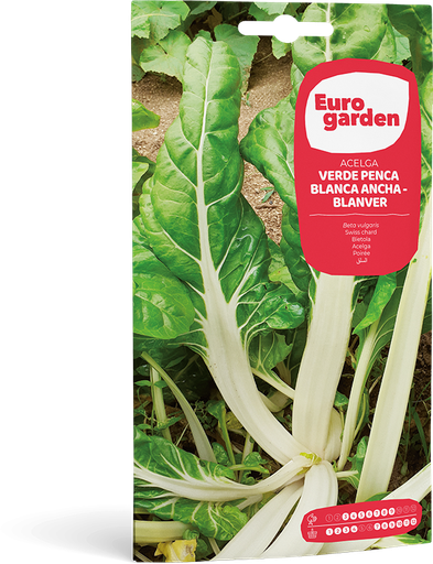 [SOBGAR002] ACELGA VERDE D PENCA BLANCA