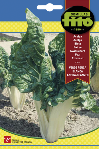 [SOBFIT001] ACELGA VERDE DE PENCA BLANVER