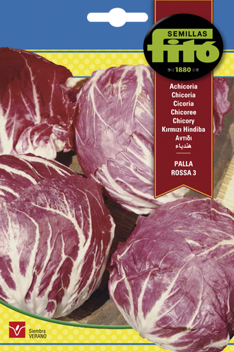 [SOBFIT053] ACHICORIA ROJA PALLA ROSSA 3