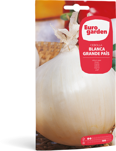 [SOBGAR011] CEBOLLA BLANCA